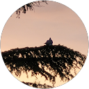 Valentine profile picture