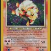 arcanin lumineux (2)