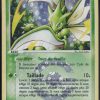 insecateur-reverse-29-112-rouge-feu-et-vert-feuille-pokemon-fr-2004-vg-fuji-store (1) INSECATEUR REVERSE 29/112 - ROUGE FEU ET VERT FEUILLE - POKEMON FR 2004