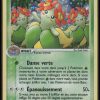 JOLIFLOR HOLO 3/115 - FORCES CACHEES - POKEMON FR 2006
