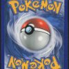 pikachu-115-114-noir-et-blanc-pokemon-fr-2011-ex-fuji-store (3)